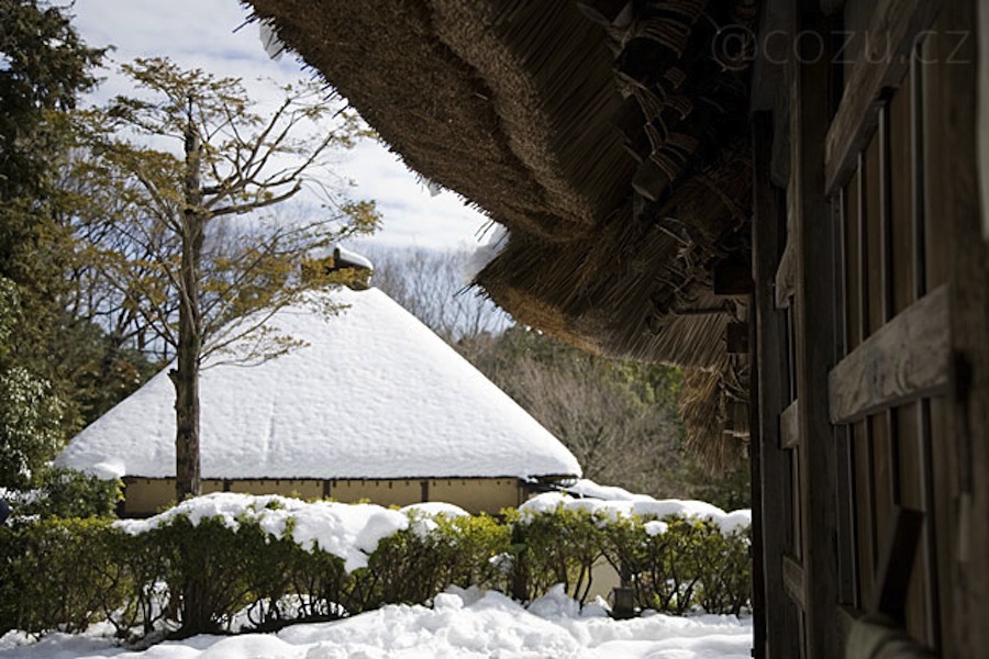 家の向こう側に家が見えて村のような見え方ができる